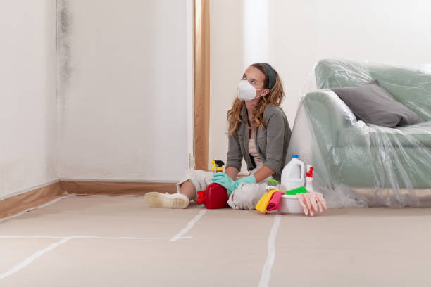 Reliable Black Mold Removal contractor in Smyrna, TN by WQB Mold Removal